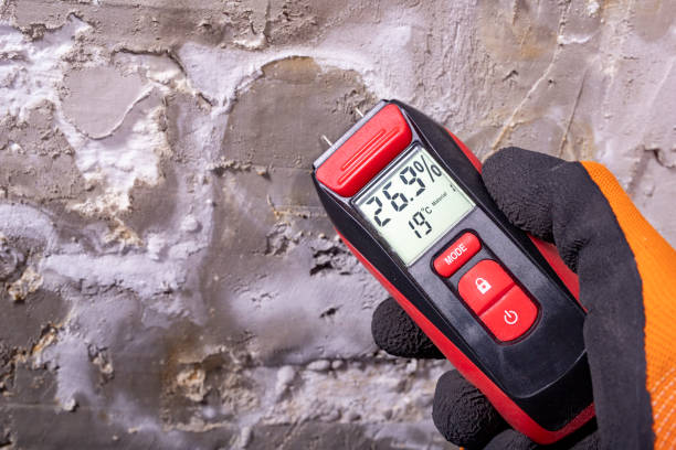 Best Mold Remediation Experts  in Grand Meadow, MN
